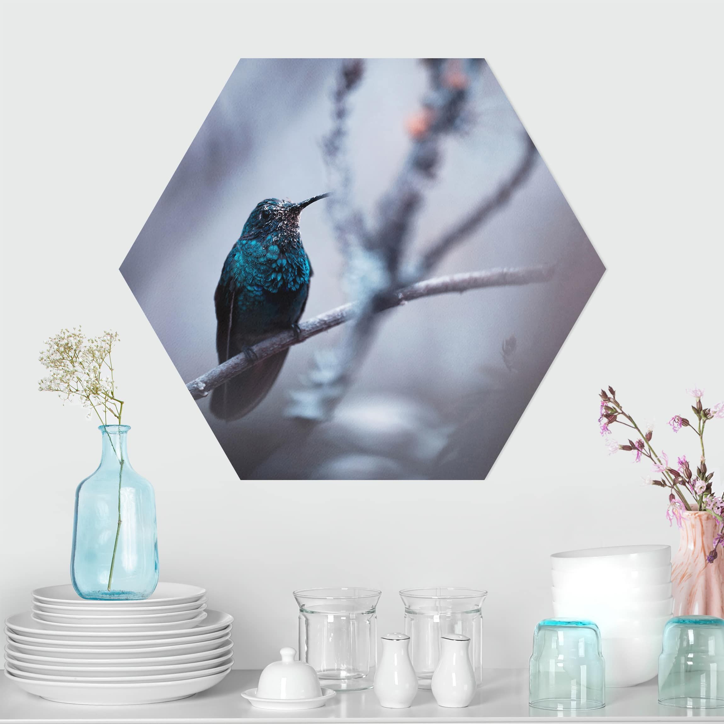 WALLART Winter Bild Kolibri auf Hexagon im | Alu-Dibond