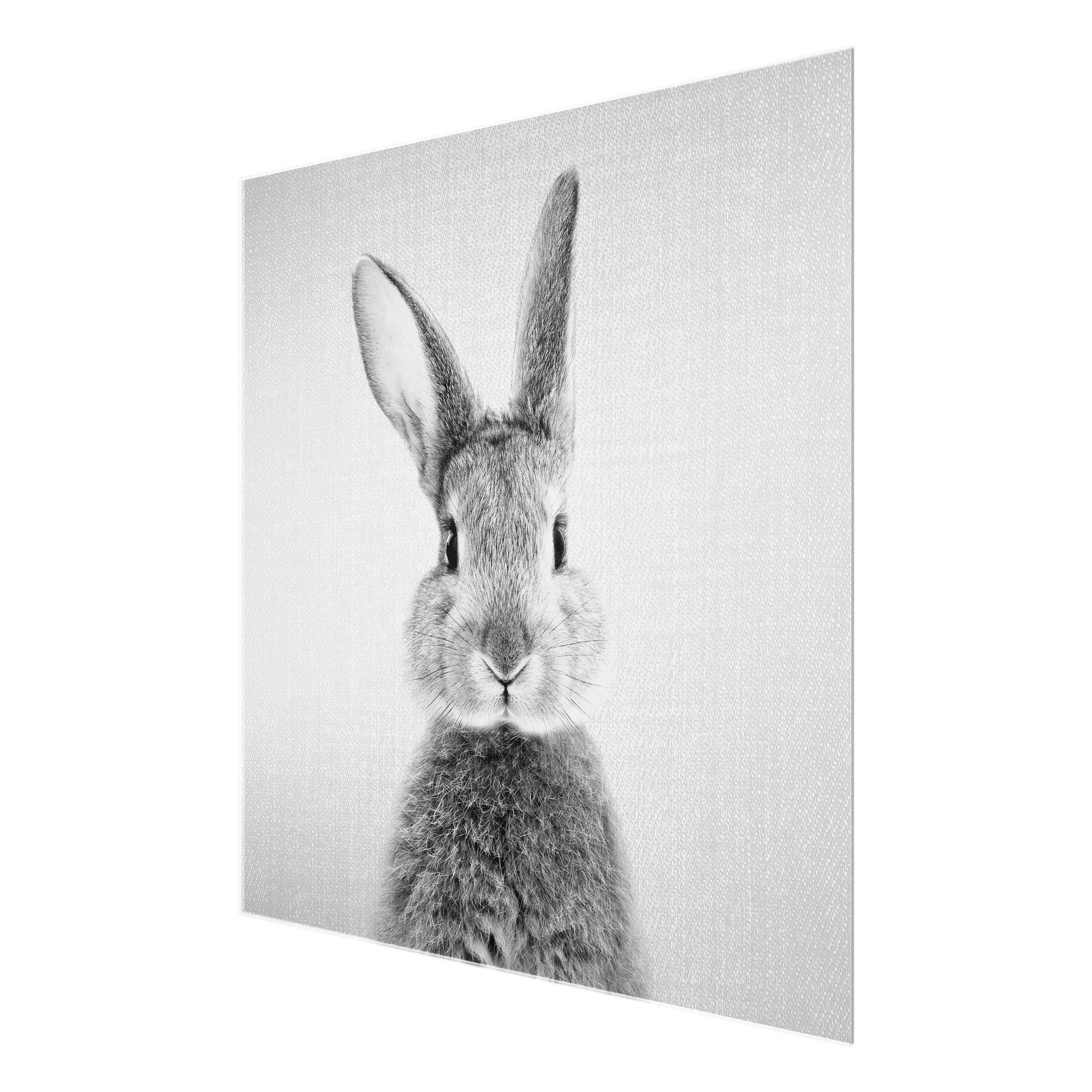 Glasbild - Hase Hilbert Schwarz Weiß - Quadrat | Kunstdrucke