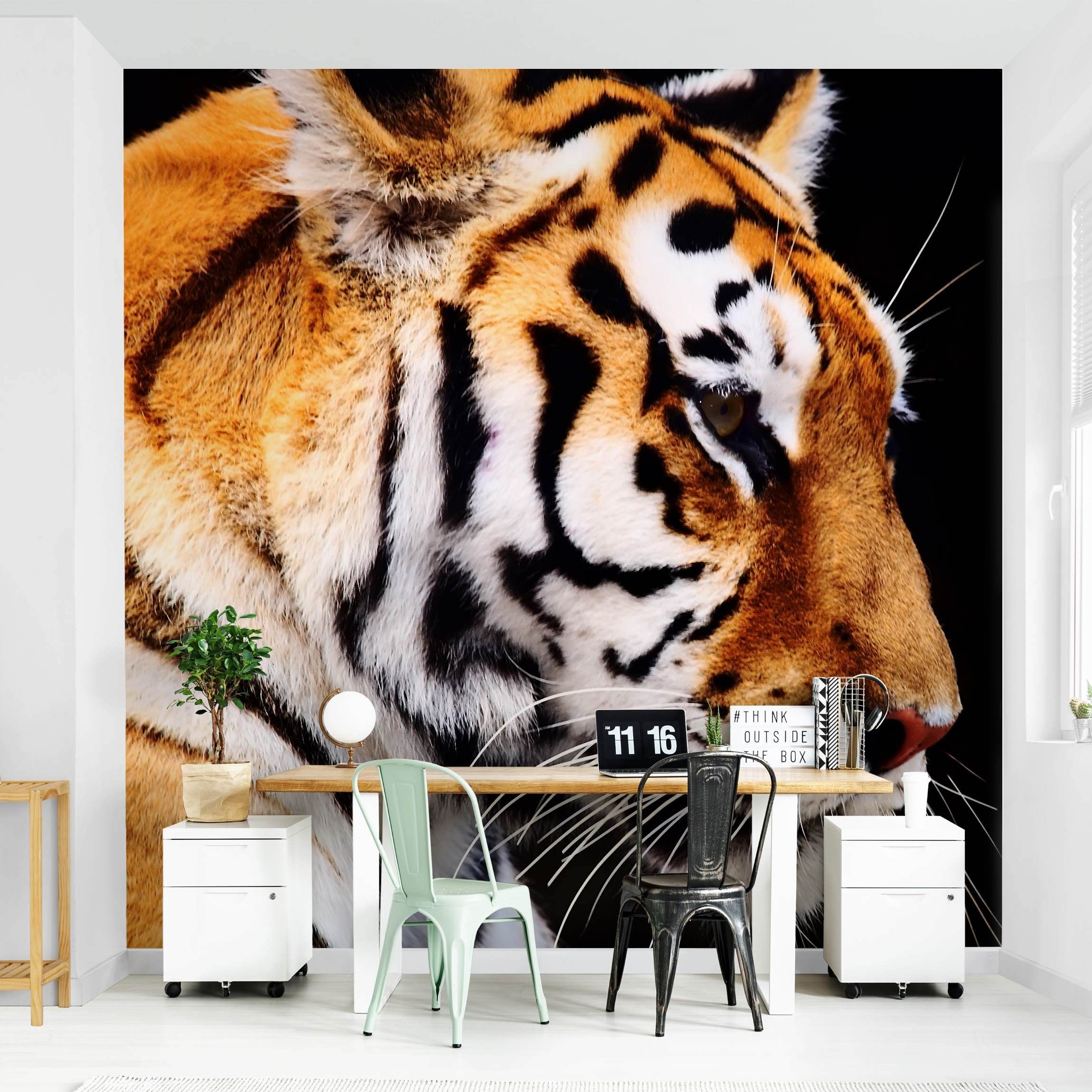 Tiger Schönheit Fototapete nach Maß | Vliestapete & selbstklebend | WALLART