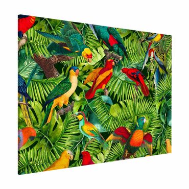 Magnettafel - Bunte Collage - Papageien im Dschungel - Memoboard Querformat 3:4