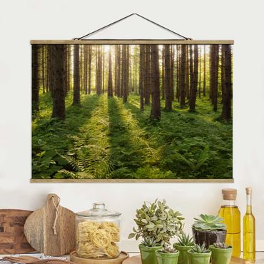 Stoffbild mit Posterleisten - Sonnenstrahlen in grünem Wald - Querformat 3:2