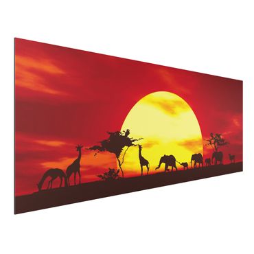 Alu-Dibond Bild - Sunset Caravan