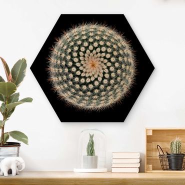 Hexagon Bild Holz - Kaktusblüte