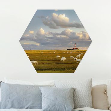Hexagon Bild Forex - Nordsee Leuchtturm mit Schafsherde