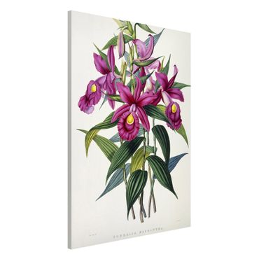 Magnettafel - Maxim Gauci - Orchidee I - Memoboard Hochformat 3:2