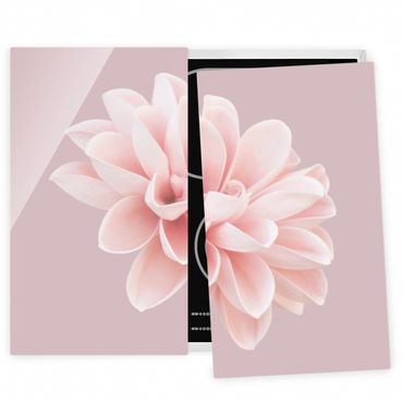 Herdabdeckplatte Glas - Dahlie Blume Lavendel Rosa Weiß - 52x60cm