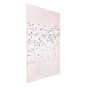 Forex Fine Art Print - Vogelschwarm im Sonnenuntergang - Hochformat 3:2