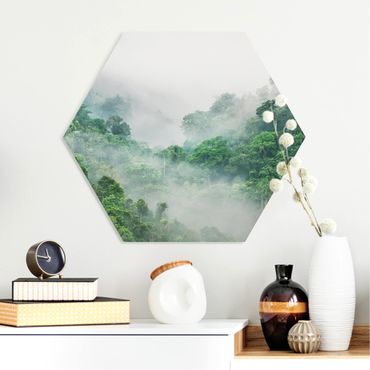 Hexagon Bild Forex - Dschungel im Nebel