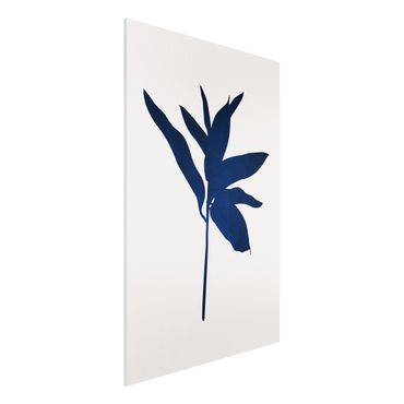 Forex Fine Art Print - Grafische Pflanzenwelt - Blau - Hochformat 3:2