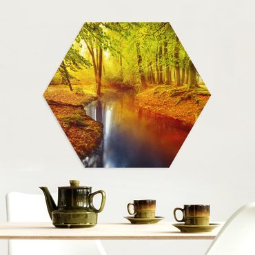 Hexagon Bild Alu-Dibond - Herbstwald