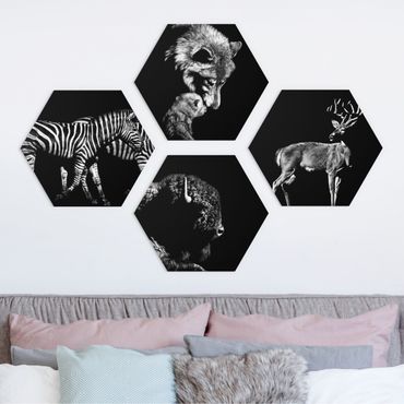 Hexagon Bild Alu-Dibond 4-teilig - Wildtiere vor Schwarz Set II