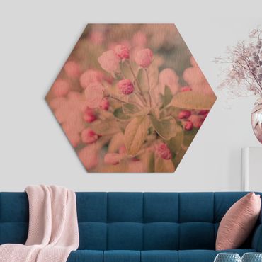 Hexagon Bild Alu-Dibond - Apfelblüte Bokeh rosa