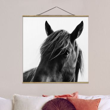 Stoffbild mit Posterleisten - Neugieriges Pferd - Quadrat 1:1