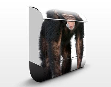 Briefkasten mit Zeitungsfach - Aufmerksamer Affe - Briefkasten mit Tiermotiv