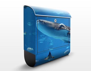 Briefkasten mit Zeitungsfach - Fish in the Sea - Briefkasten mit Tiermotiv