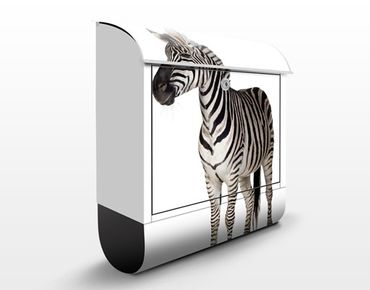 Briefkasten mit Zeitungsfach - No.293 Lächelndes Zebra - Briefkasten mit Tiermotiv