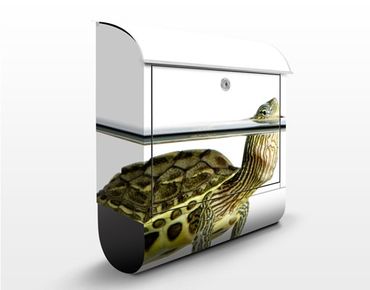Briefkasten mit Zeitungsfach - Schildkröte - Briefkasten mit Tiermotiv