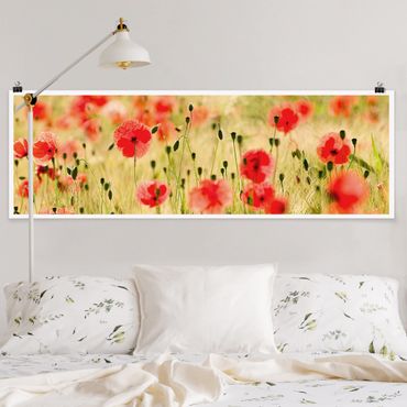 Poster - Summer Poppies - Panorama Querformat