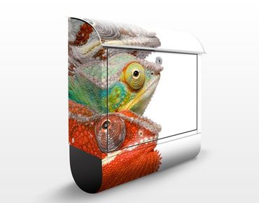 Briefkasten mit Zeitungsfach - Colorful Chameleon - Briefkasten mit Tiermotiv