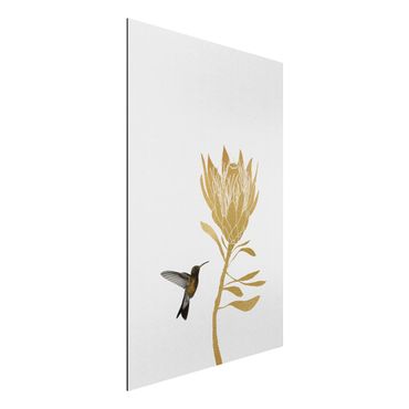 Alu-Dibond - Kolibri und tropische goldene Blüte - Querformat