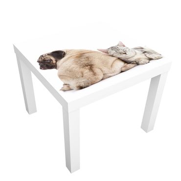 Möbelfolie für IKEA Lack - Klebefolie No.424 Möpschen und Kätzchen