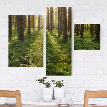 Leinwandbild 3-teilig - Sonnenstrahlen in grünem Wald - Collage 1