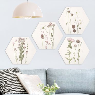 Hexagon Bild Forex 4-teilig - Herbarium in rosa Set I