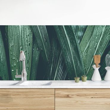 Küchenrückwand - Grüne Palmenblätter
