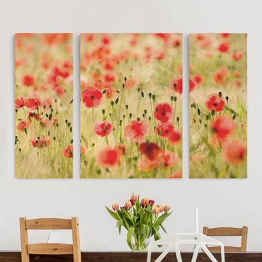 Leinwandbild 3-teilig - Summer Poppies - Triptychon