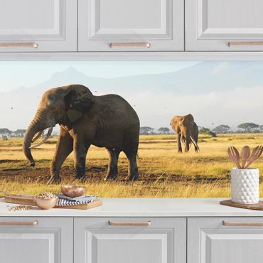 Küchenrückwand - Elefanten vor dem Kilimanjaro in Kenya