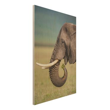 Holzbild - Elefantenfütterung Afrika - Hochformat 3:2