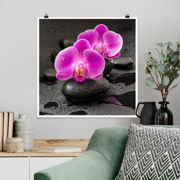 Poster - Pinke Orchideenblüten auf Steinen mit Tropfen - Quadrat 1:1