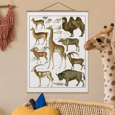 Stoffbild mit Posterleisten - Vintage Lehrtafel Giraffe, Kamel und Lama - Hochformat 3:4