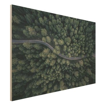 Holzbild - Luftbild - Waldstraße von Oben - Querformat 2:3