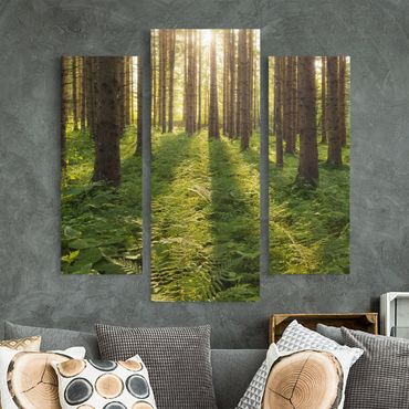 Leinwandbild 3-teilig - Sonnenstrahlen in grünem Wald - Galerie Triptychon