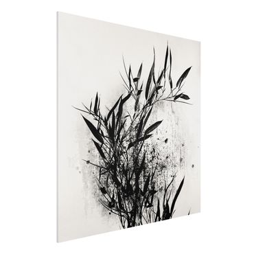 Forex Fine Art Print - Grafische Pflanzenwelt - Schwarzer Bambus - Quadrat 1:1