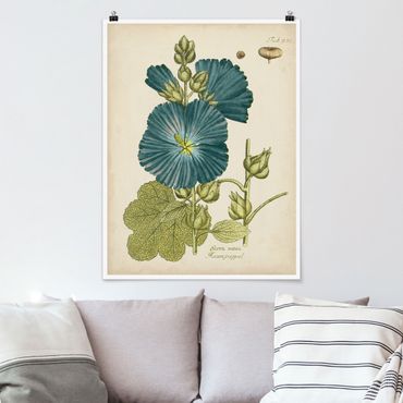Poster - Vintage Botanik in Blau Rosenpappel - Hochformat 4:3