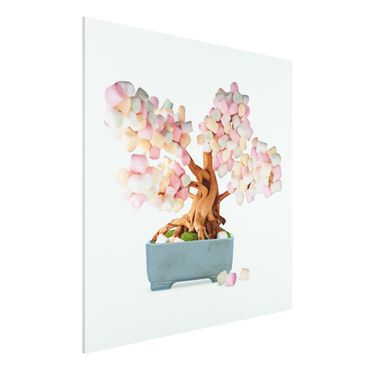 Forex Fine Art Print - Jonas Loose - Bonsai mit Marshmallows - Quadrat 1:1