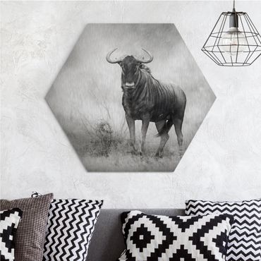 Hexagon Bild Alu-Dibond - Staring Wildebeest