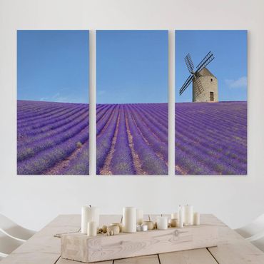 Leinwandbild 3-teilig - Lavendelduft in der Provence - Hoch 1:2