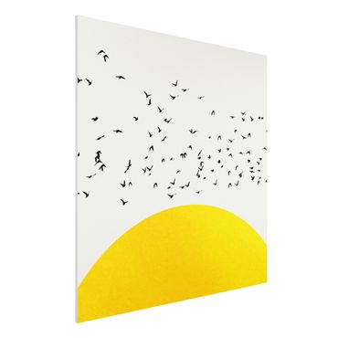 Forex Fine Art Print - Vogelschwarm vor gelber Sonne - Quadrat 1:1