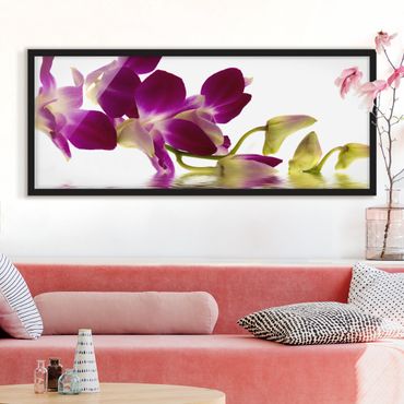 Bild mit Rahmen - Pink Orchid Waters - Panorama Querformat