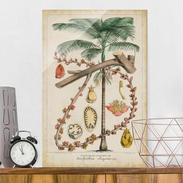 Glasbild - Vintage Lehrtafel Exotische palmen II - Hochformat 3:2