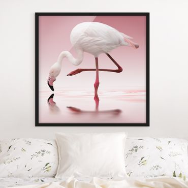 Bild mit Rahmen - Flamingo Dance - Quadrat 1:1