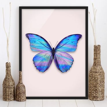 Bild mit Rahmen - Jonas Loose - Holografischer Schmetterling - Hochformat 4:3