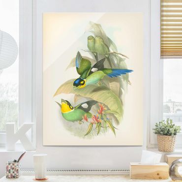Glasbild - Vintage Illustration Tropische Vögel - Hochformat 4:3