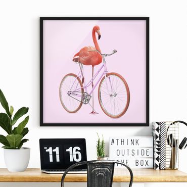Bild mit Rahmen - Jonas Loose - Flamingo mit Fahrrad - Quadrat 1:1