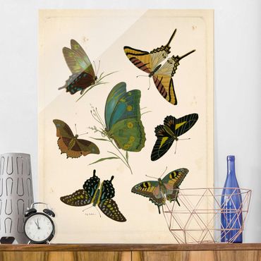 Glasbild - Vintage Illustration Exotische Schmetterlinge - Hochformat 4:3