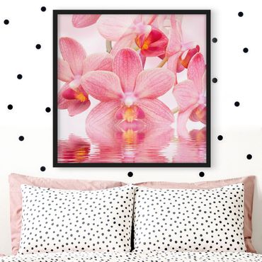 Bild mit Rahmen - Rosa Orchideen auf Wasser - Quadrat 1:1