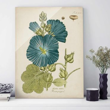Glasbild - Vintage Botanik in Blau Rosenpappel - Hochformat 4:3